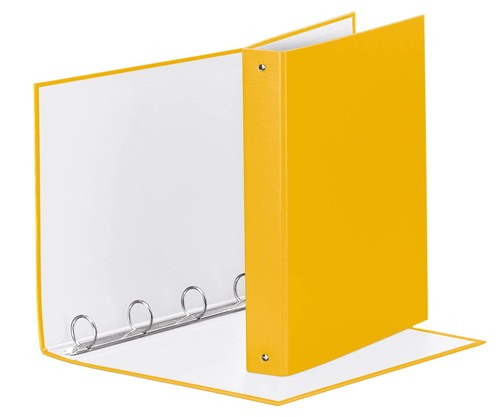 Ringbuch ordner esselte dorso - ringbuch,