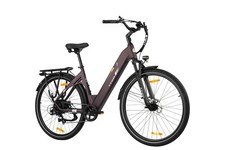 TTGO C3-SE 28" Elektrofahrrad