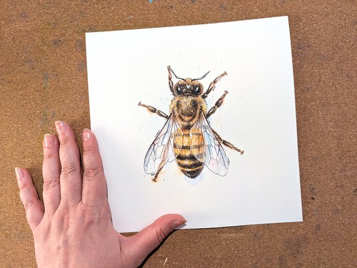 Aquarell honigbiene kleines - aquarell, honigbiene,