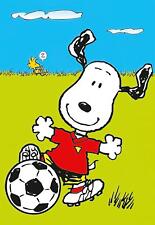 Peanuts Poster Snoopy 70 x 100 cm
