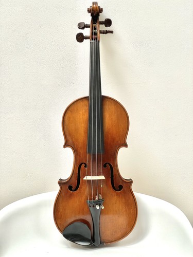 Violine full size stainer - full,