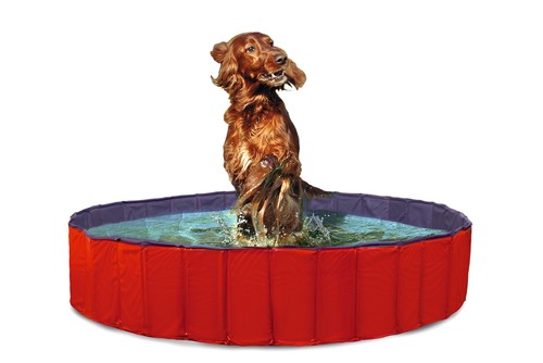 Karlie doggy pool rot - doggy,