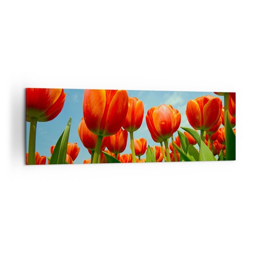 Wandbilder 160x50cm