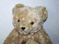 Grosser Teddybär von Teddy