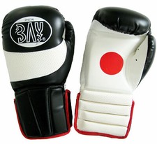 BAY® KOMBI COACH 2in1