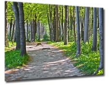 Leinwand Bild Strand Wald