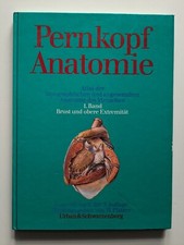 Pernkopf Anatomie Band 1 Brust