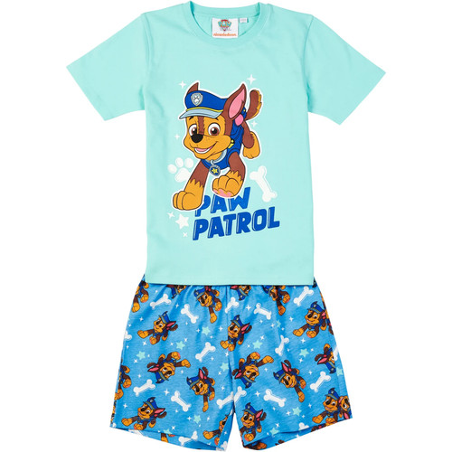 Paw patrol kinder lizenz - patrol,