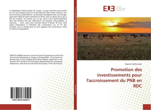 Promotion des investissements
