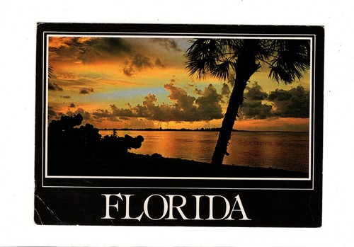 Ansichtskarte florida usa - ansichtskarte,