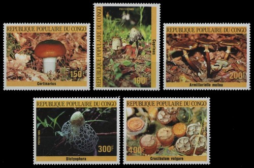 Kongo brazzaville 1985 - 1985,