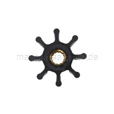 Johnson Pump 09-1028BT-1