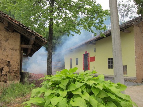 Emsa samba thermoskanne - ,