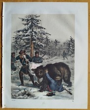 Bärenjagd Siebenbürgen -