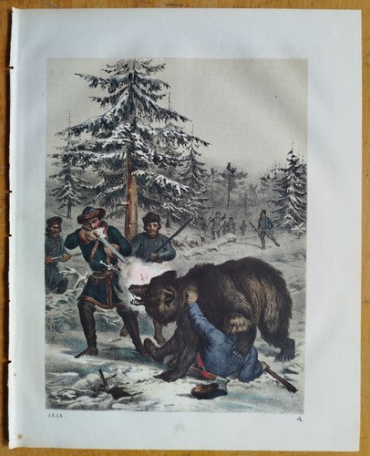 Bärenjagd siebenbürgen - bärenjagd,