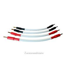 Chord Carnival Speaker Links