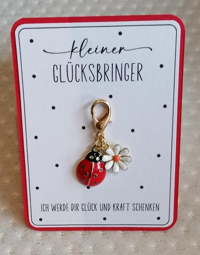 Glücksbringer geschenkidee - glücksbringer,