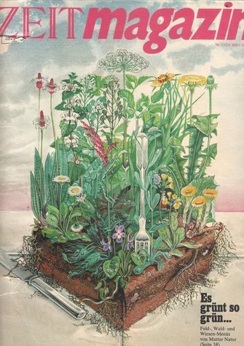 Zeitmagazin 13 1978 - nr., 13/1978