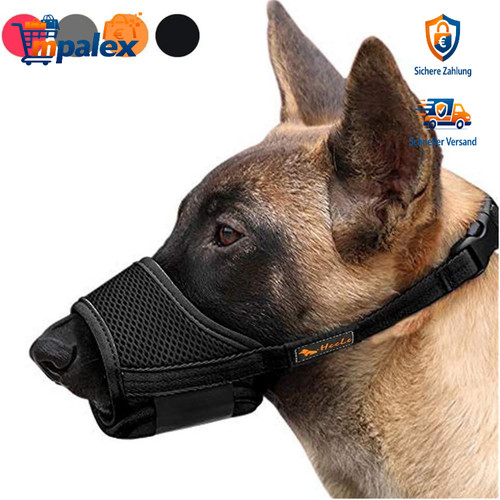 Heele hunde maulkorb - hunde,