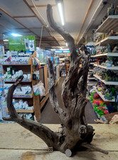 Große Corbo Wurzel Aquarium