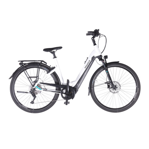 Pegasus premio evo lite - 10,