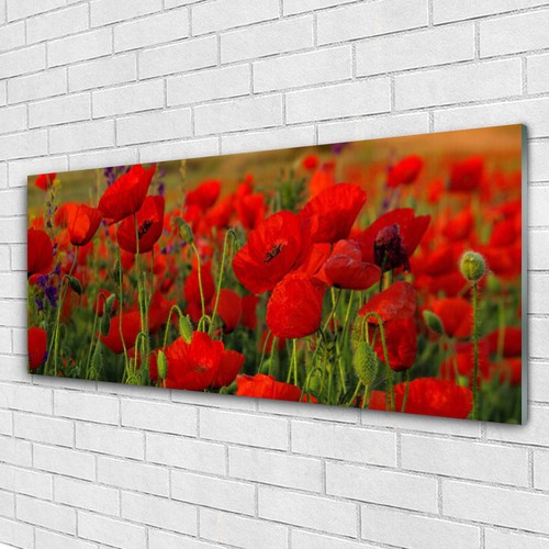 Glasbilder wandbild druck auf - glasbilder,