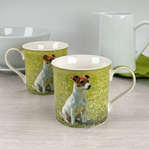 Jack russell terrier - russell, tassen