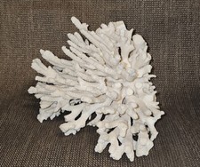 Weiße Koralle.natürliche Korallenbaum Vintage Deko Astkoralle Ca.530 gr.