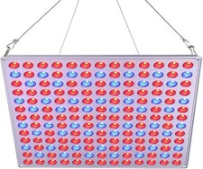 Wachstumslichter 75W Rot Blau