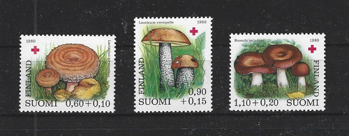 Pilze mushrooms funghi - pilze,