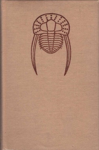 Fossilien sammeln - :,
