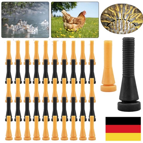 100stk rupffinger hahn gans - rupffinger,