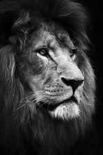 nicht mehr erhältlich, ist gelöscht