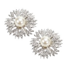 2 Stück Strass Schuhschnalle