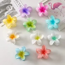Haarclip Haarblüte Haarklammer Hawaiianische Blume Haar Kralle Clips +Geschenk 