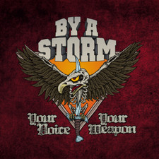 BY A STORM - YOUR VOICE YOUR