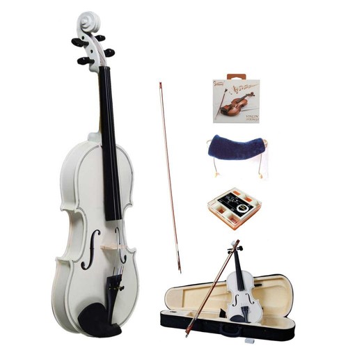 Violine mit koffer - violine, bogen