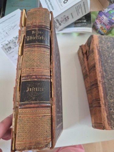 Brehms tierleben insekten von - insekten,