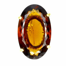 SHOLA Echt Natürlicher Kognak