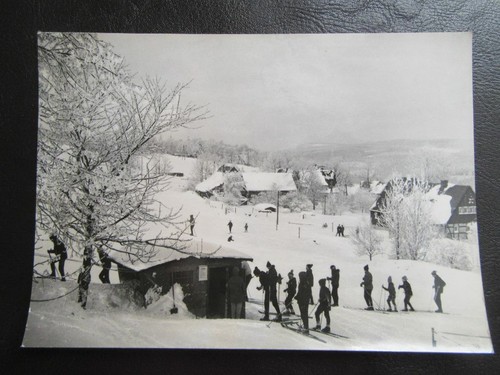 Schellerhau im - ak,