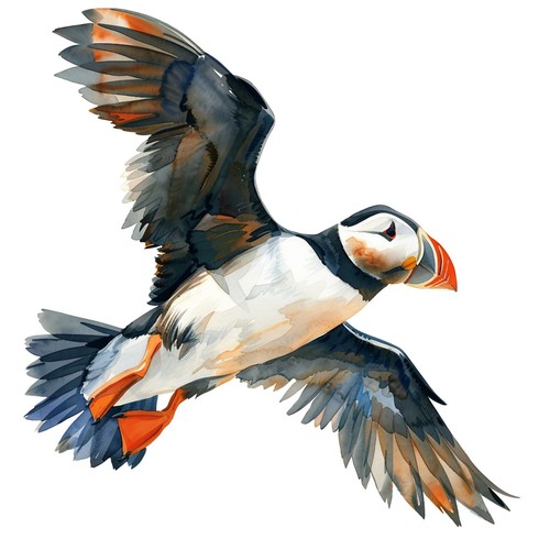 Sticker papageientaucher - 2x,