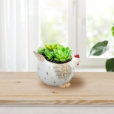 Hühnerstatue, Pflanzgefäß, Tischdekoration, Schreibtisch, Henne, Blumentopf