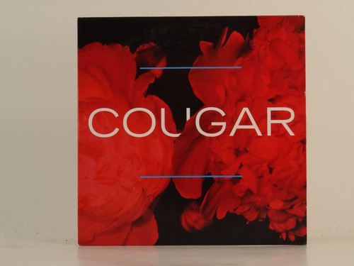 Cougar stay famous 4 - famous, (h1)