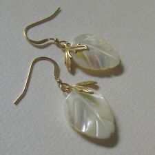 weisse Regenbogen Perlmutt