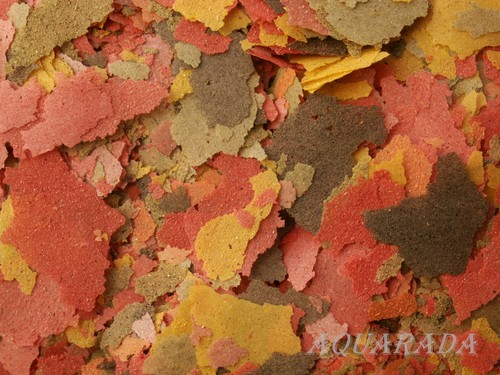 Super mix cichliden flocken - cichliden,
