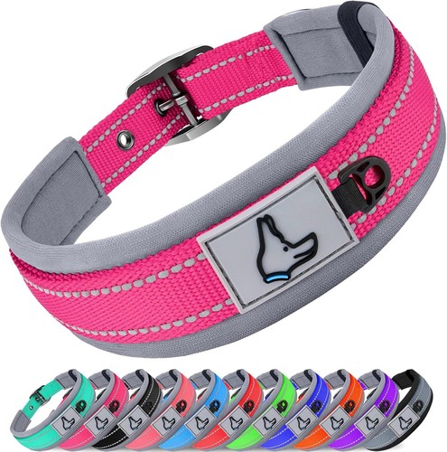 Hundehalsband neopren - hundehalsband,