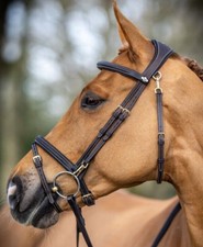 LeMieux Kudos Arbeitstrense