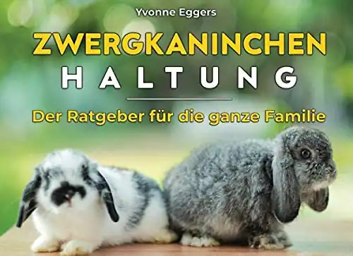 Zwergkaninchen haltung der - zwergkaninchen,