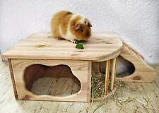 ⭐  Nagerhaus  Kleintierhaus