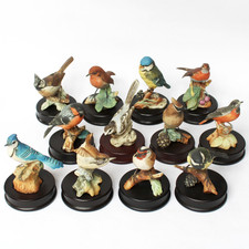 Sammlung Konvolut 12 Vögel AK